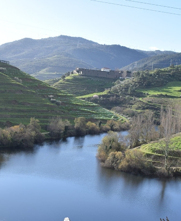 Douro Valley with River Cruise and Lunch