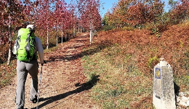 Portuguese Coastal Way: A Guarda to Santiago