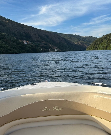 Douro River Speedboat Tour from Lomba or Melres