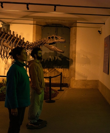 Dino Experience: Immersive Dinosaur World