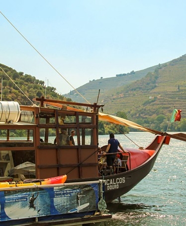 Douro Half-Day Tour with Cruise and Wine
