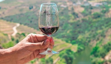 Private Douro Half-Day Tour with Boat Ride