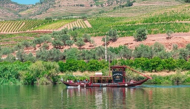 Private Douro Half-Day Tour with Boat Ride
