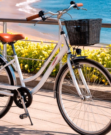 Bike Rental in Vila do Conde