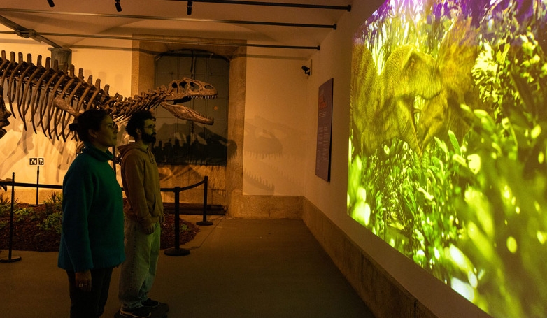 Dino Experience: Immersive Dinosaur World