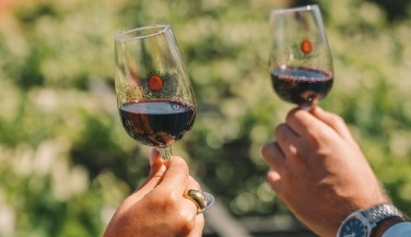 World of Wine & Taylor&rsquo;s Cellars with Tasting