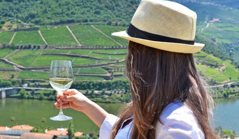 Douro Half-Day Tour with Cruise and Wine