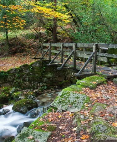 Tour Privado no Parque Nacional Peneda-Ger&ecirc;s