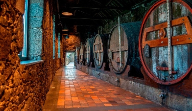 Tuk Tuk Tour in Porto + Visit to the Port Wine Cellars
