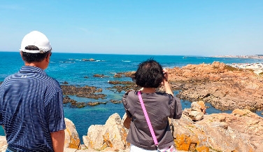 Porto Matosinhos tour and sardine production