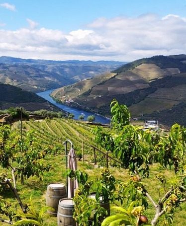 Tour no Vale do Douro