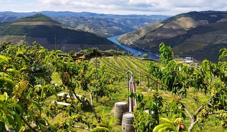 Douro Valley Tour