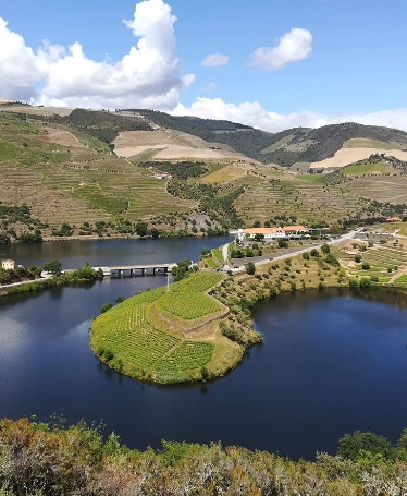 Tour Premium pelo Douro