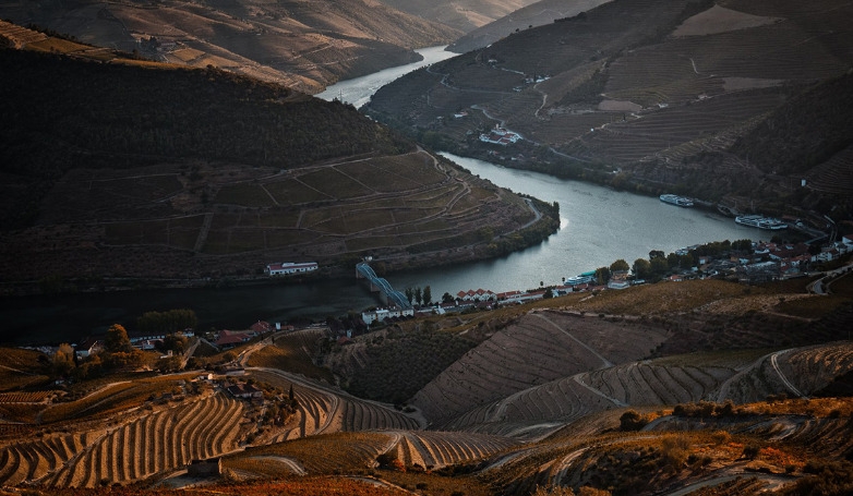 Private Douro Tour