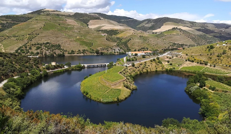 Tour Premium pelo Douro