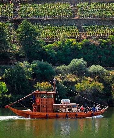 Tour Privado no Douro Histórico 