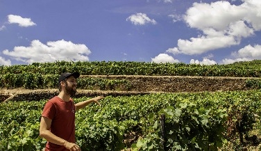 Tour Privado no Douro Histórico 