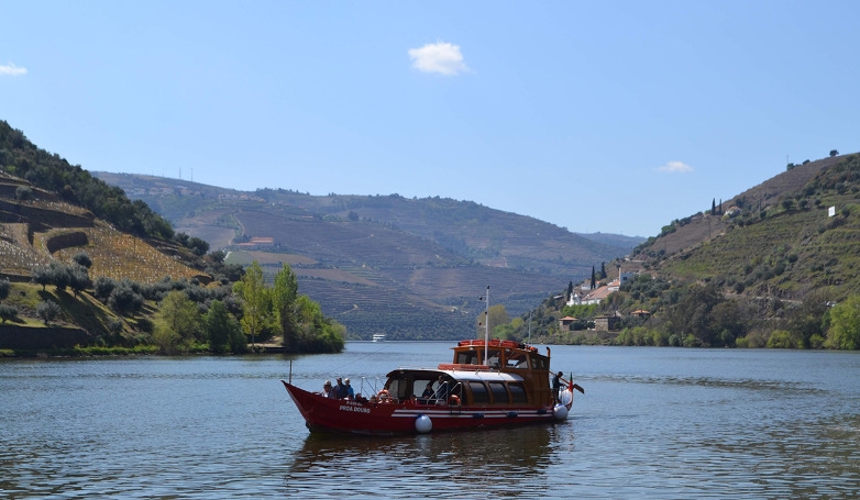 Douro Valley Tour and Cruise