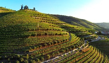 Douro Valley Wine Tour